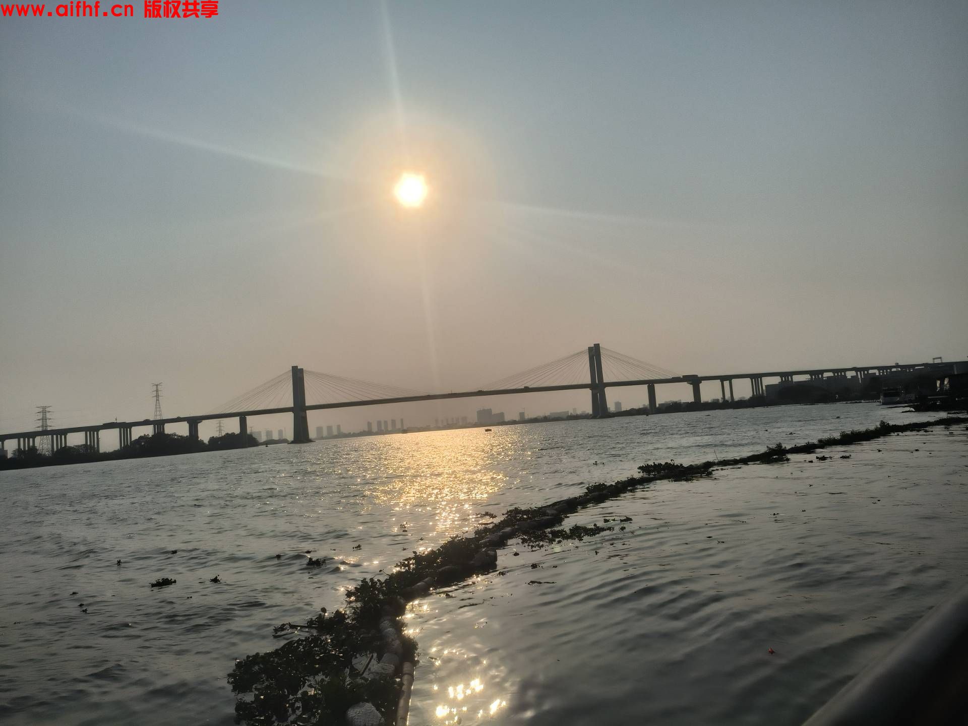 小土豆:海鸟的天空荷塘月色(视频)